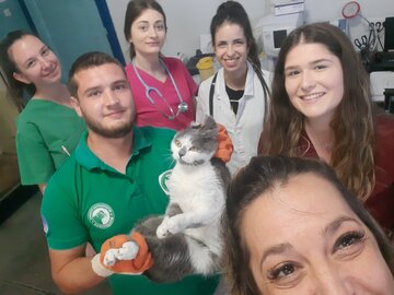Letnja praksa studenata Fakulteta veterinarske medicine u VS Mladenovac, jul 2022.